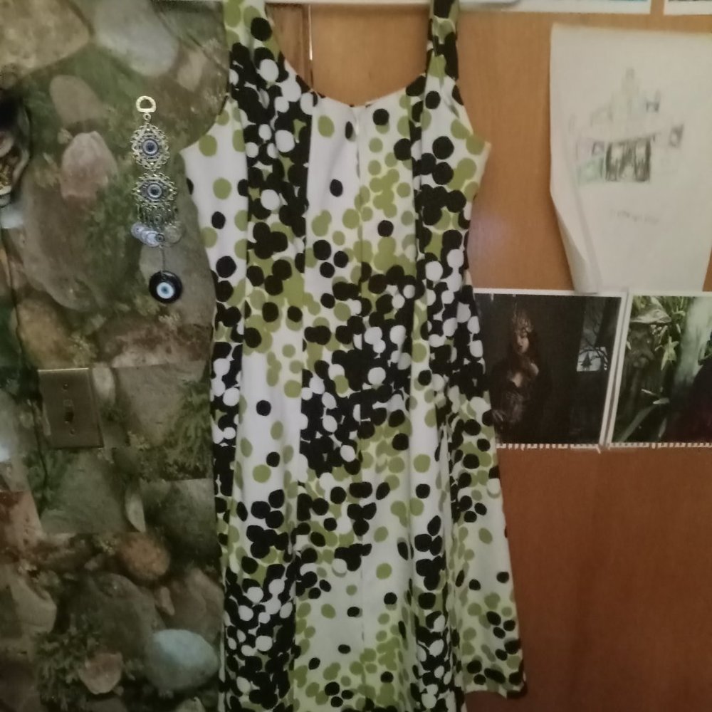 Ronni Dress size 14 W